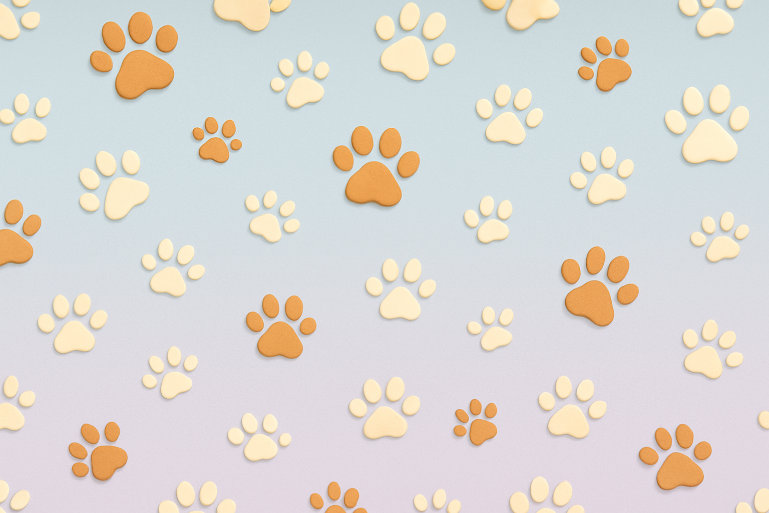paw wallpaper