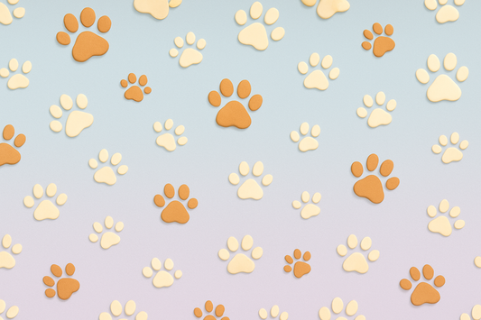 paw wallpaper